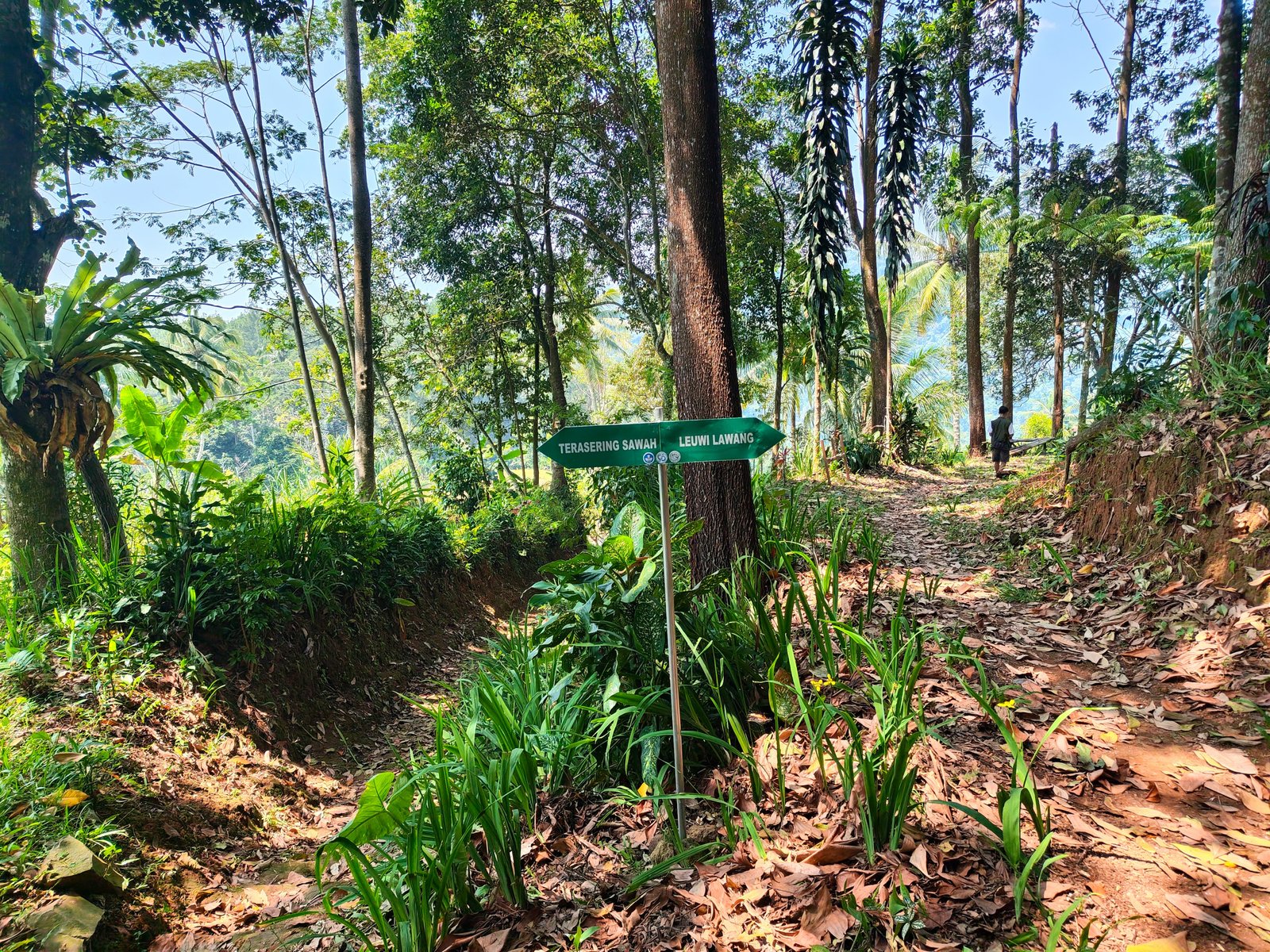 Foto Jalur 3
